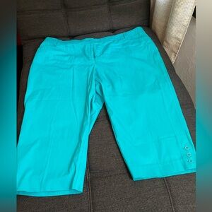 Studio Works Walking Shorts